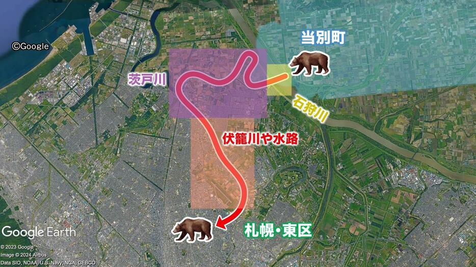 ヒグマの推定経路（ヒグマが札幌市の人口密集地に近づくほど色が赤くなると表現）