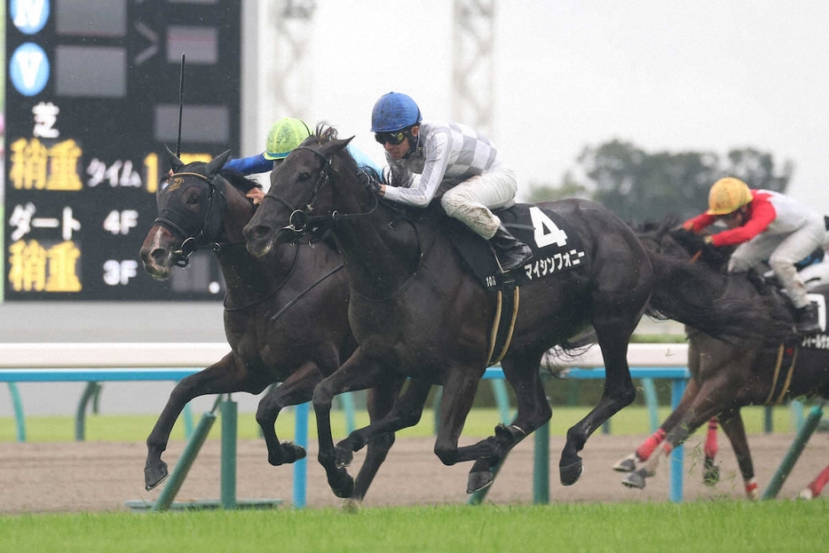 ＜宝ヶ池特別＞ゴール前で差し切るマイシンフォニー（手前）（撮影・平嶋　理子）