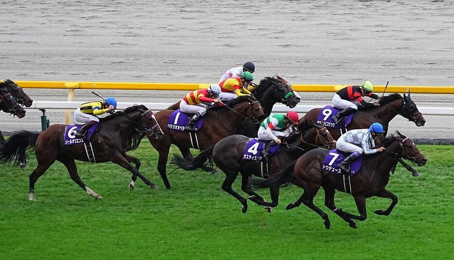 天皇賞・秋で3着に逃げ粘ったホウオウビスケッツ（9番）。その手前の7番は１着のドウデュース＝東京競馬場（撮影・土谷創造）