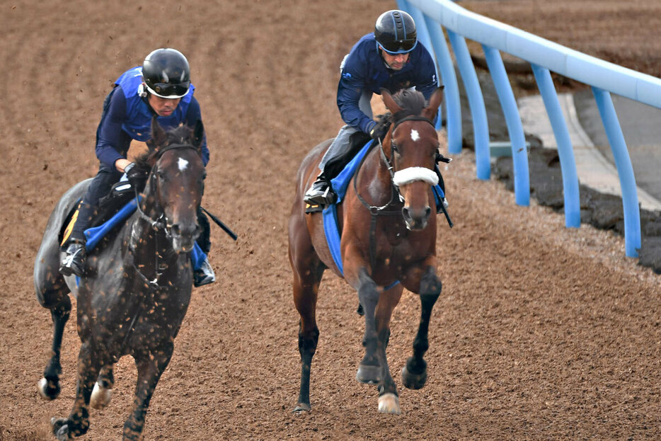 豪華な併せ馬を行ったアロンズロッド（右）