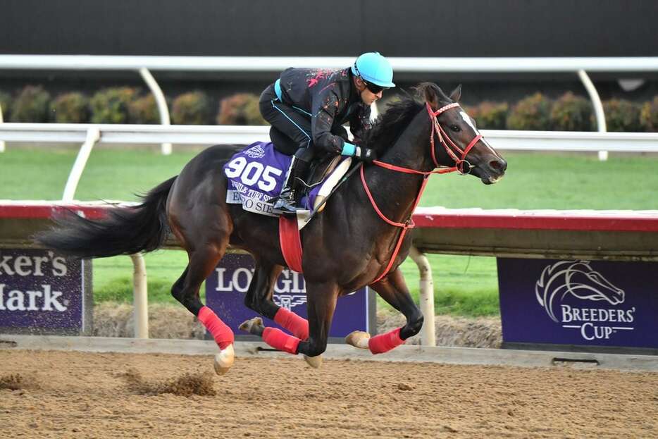 ルメール騎手を背に追い切られるエコロジーク＝現地29日、米デルマー競馬場（撮影・ⓒKatsumi.Saito）