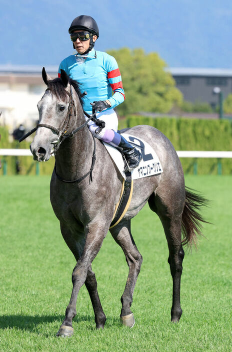 菊花賞当日に行われた京都・芝１８００メートルの新馬戦を勝ったヤマニンブークリエ