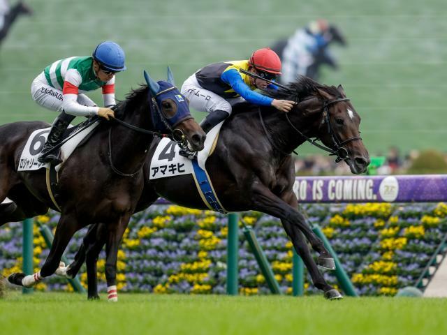 C.デムーロ騎手騎乗のアマキヒが勝利(撮影：下野雄規)