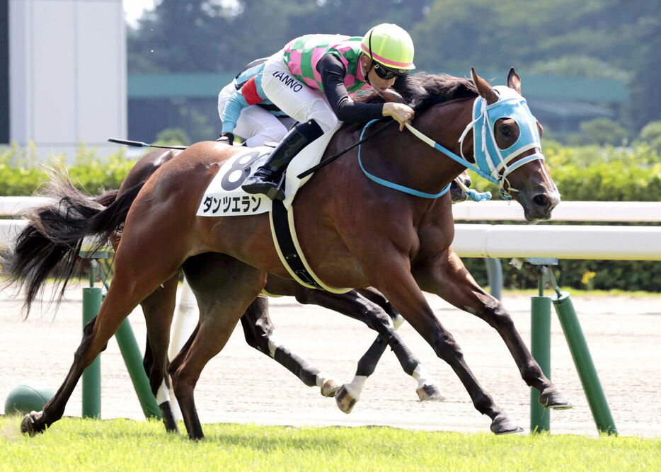 ８月４日にデビューＶを飾ったダンツエラン（手前）