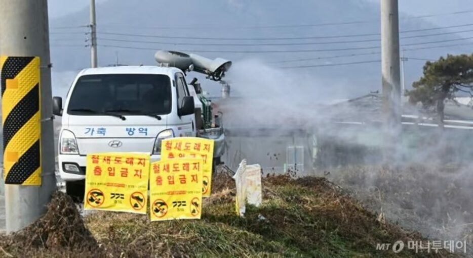 京畿道龍仁市白岩面清渼川一帯での防疫作業(c)NEWSIS