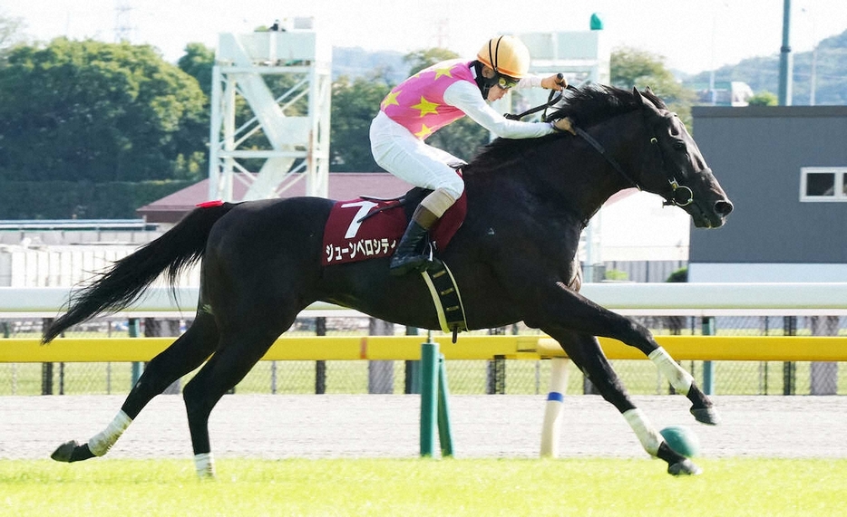 ＜東京ハイジャンプ＞レースを制したジューンベロシティ（撮影・村上　大輔）