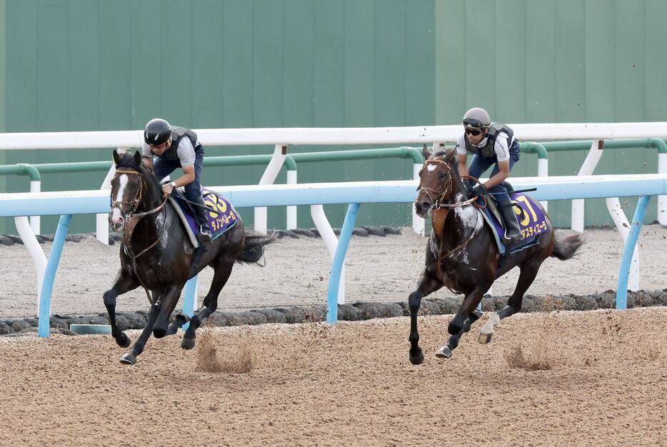 ダノンベルーガ（左）と天皇賞・秋の追い切りを行ったタスティエーラ（右）＝美浦トレセン（撮影・塩浦孝明）