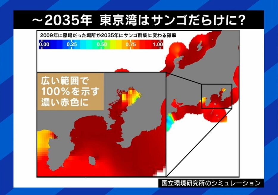 東京湾のシミュレーション