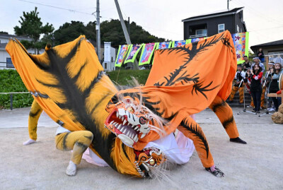 勇壮な演舞で観客を魅了する大槌虎舞＝６日、大槌町末広町・御社地公園