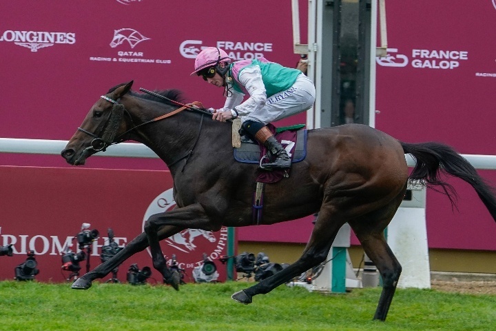 重馬場を物ともせず、ブルーストッキングが凱旋門賞を制した。(C) Getty Images