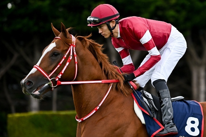 唯一の日本馬として参戦したシンエンペラーは12着に終わった。(C)Getty Images