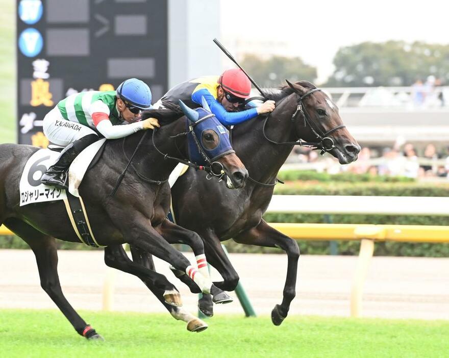 初陣を勝利で飾ったアマキヒ（右）＝東京競馬場