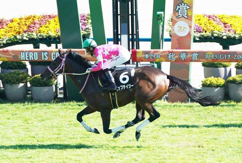 紫菊賞を制しデビュー2連勝のビップデイジー＝京都競馬場（撮影・榎本雅弘）