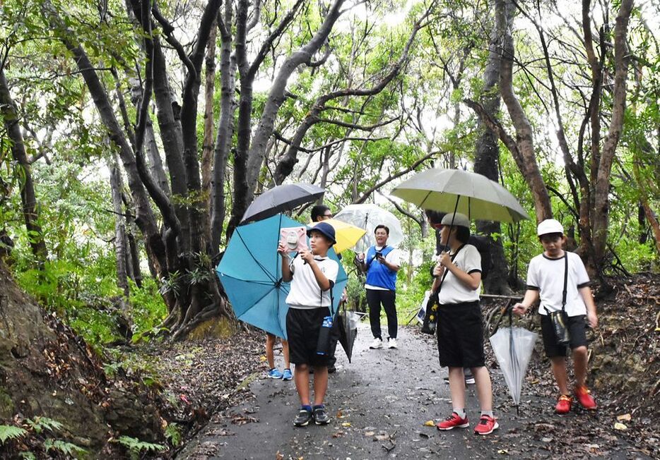 高台に向かう道中で危険な箇所の写真を撮る児童（和歌山県白浜町で）