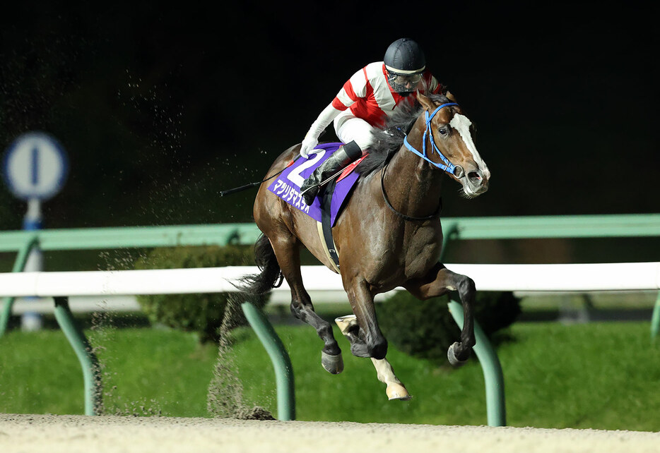 若駒賞・マツリダマスラオと村上忍騎手 (C)岩手県競馬組合