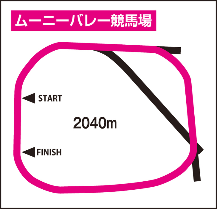 ムーニーバレー競馬場のコース図