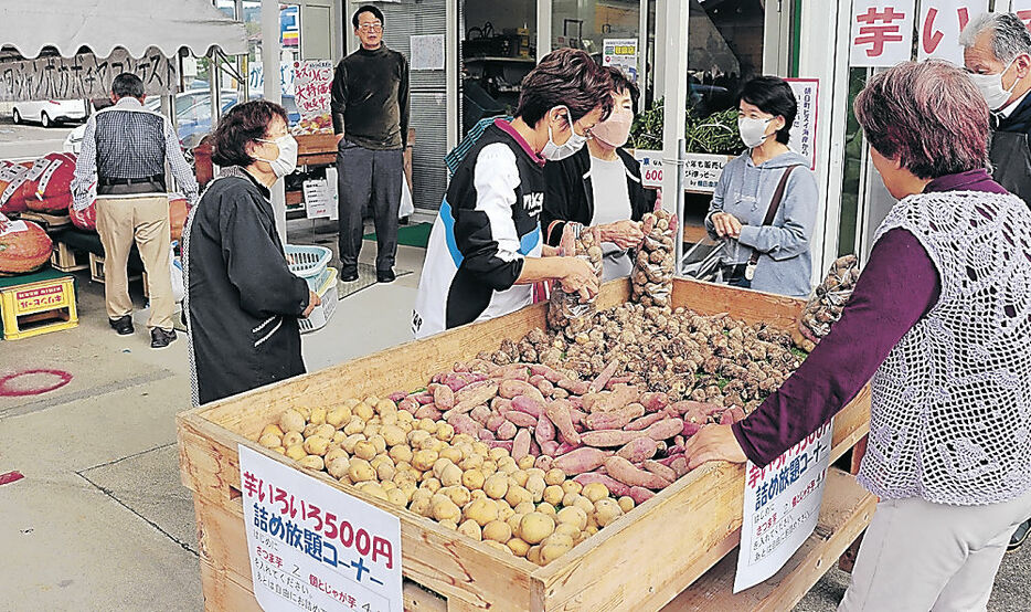 イモを袋に詰め込む来場者＝小矢部市末友の村の駅きたかんだの郷