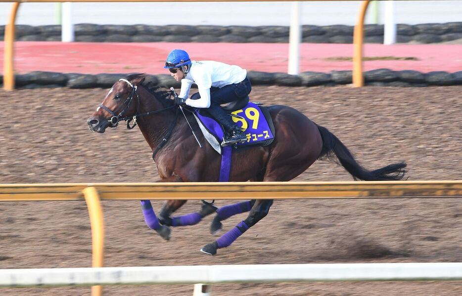 ドウデュース＝栗東トレセン（撮影・岩川晋也）