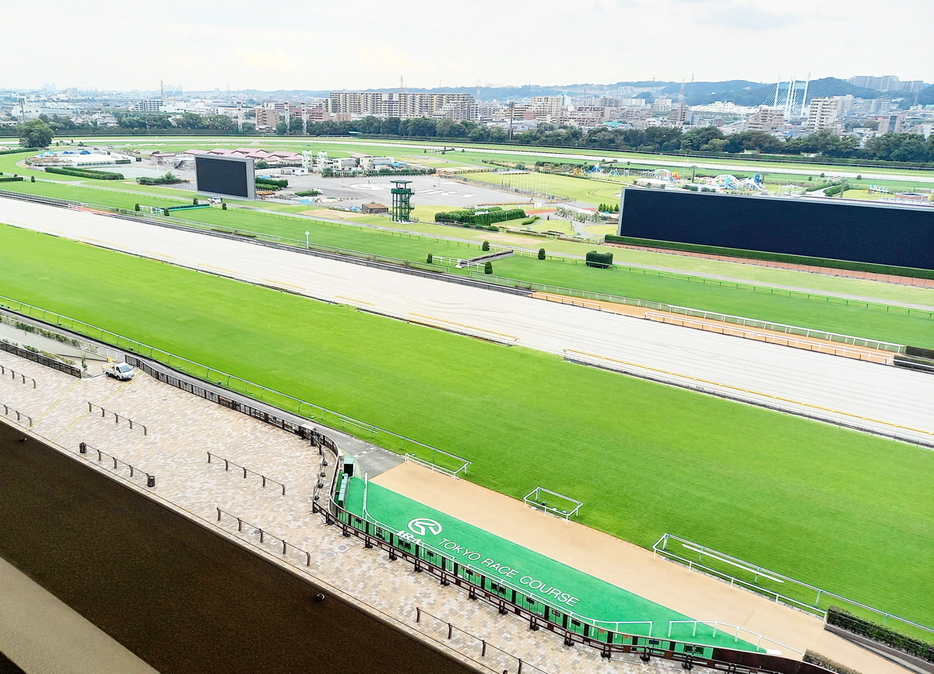 　東京競馬場