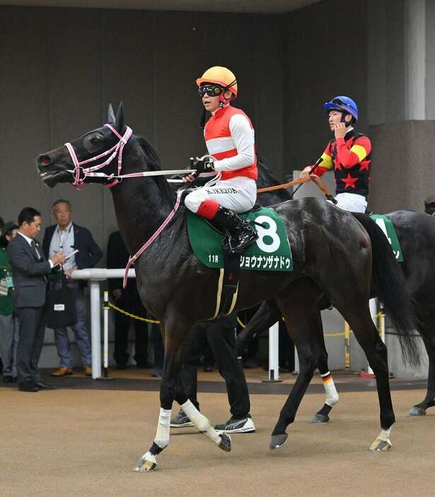 アルテミスSで3着に敗れたショウナンザナドゥ＝26日、東京競馬場（撮影・奈良武）