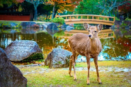 写真：LIMO [リーモ]