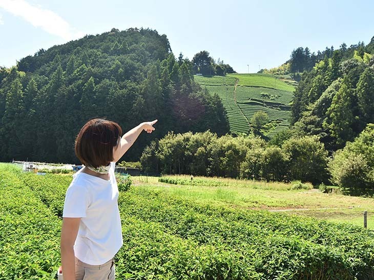 目的地の茶畑を教えてくれる石川茜さん