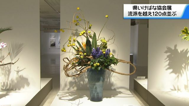 テレビ金沢NEWS