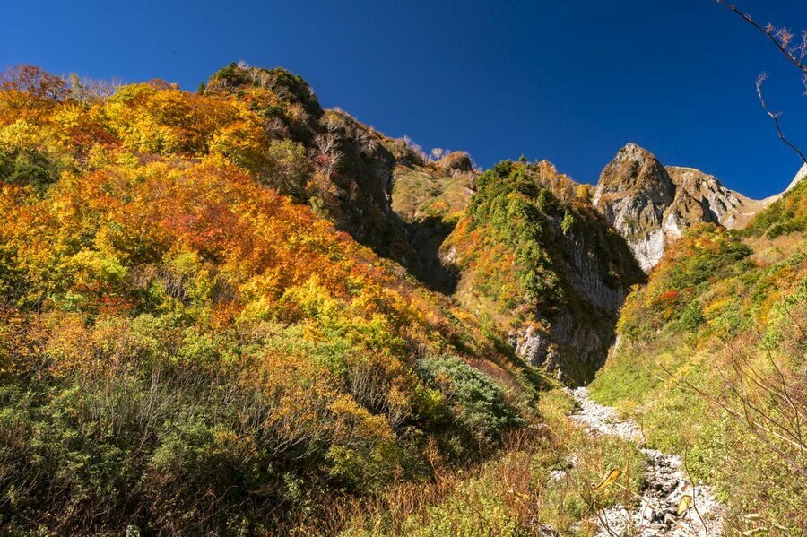 雨飾山、そそり立つ岸壁と錦繍の森が織りなす荒菅沢の秋景色（2024年10月21日撮影：杉村航）