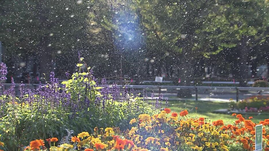 札幌大通公園にも