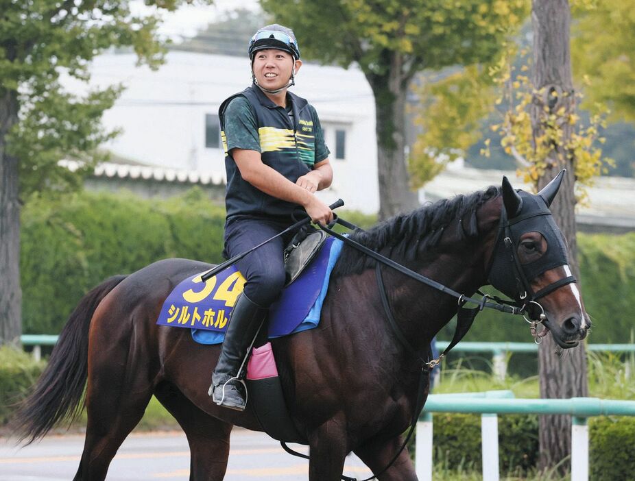 運動するシルトホルン