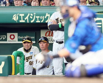 阪神甲子園球場のベンチのひさし部分にも「エイジェック」の文字が（写真：産経新聞社）