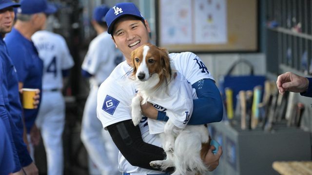 主人の大谷翔平選手に抱かれるデコピン(写真：USA TODAY Sports/ロイター/アフロ)