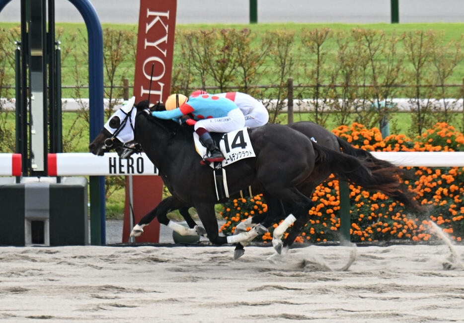 接戦を制し新馬戦に勝利したゴールデンクラウド（手前）（撮影・和賀正仁）