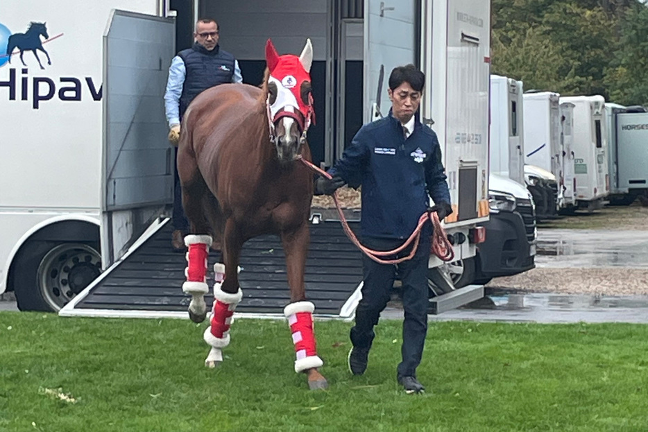 パリロンシャン競馬場に到着したシンエンペラー（代表撮影）