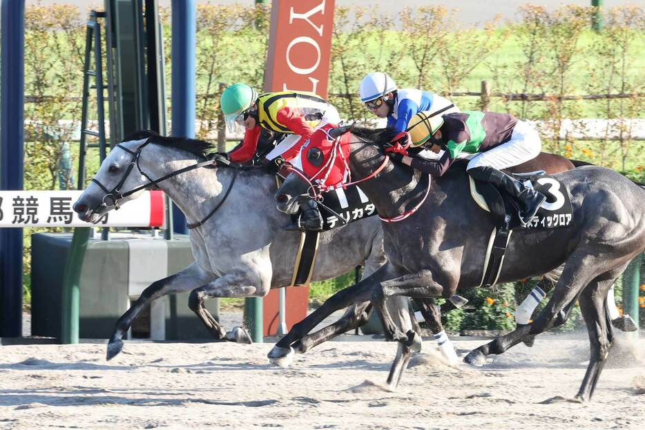 約２年半ぶりに勝利を挙げたデリカダ