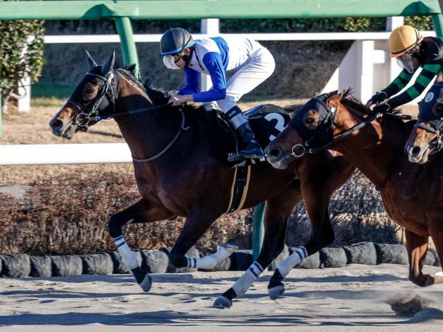 ロードアヴニールのオープン初勝利なるか(撮影：下野雄規)