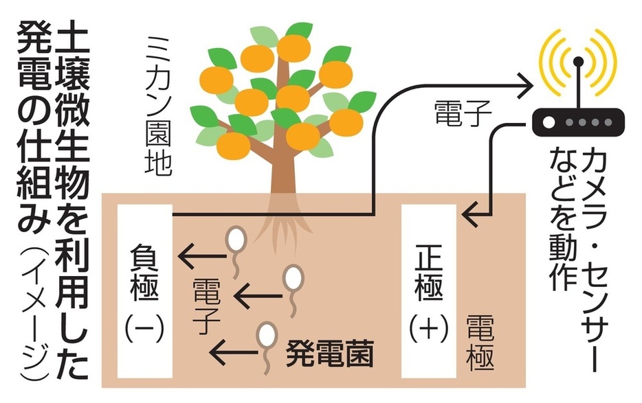 土壌微生物を利用した発電の仕組み