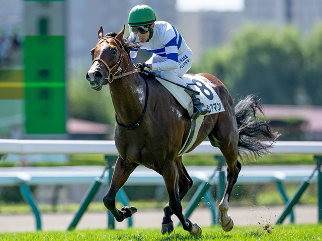 レースが行われる東京競馬場(c)netkeiba