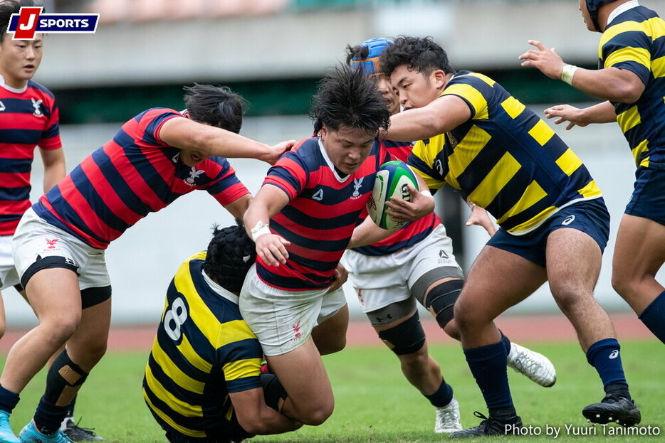 平野龍（京都産業大学）