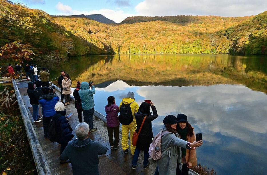 入場制限が始まった蔦沼の展望デッキで、朝日を受け輝く紅葉にカメラを向ける観光客ら＝20日午前7時