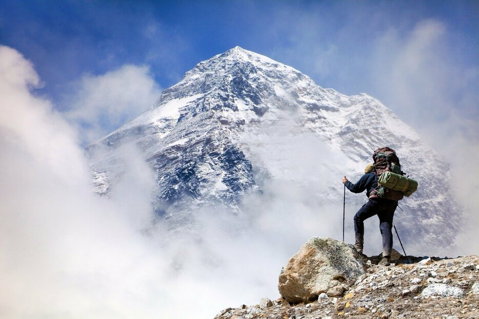 Photo：Daniel Prudek/shutterstock※写真はイメージです