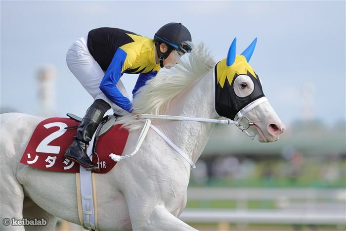 22年府中牝馬Sで2着だったソダシ