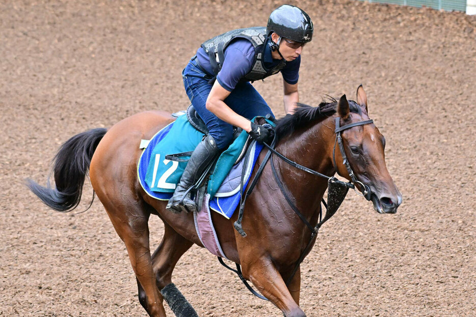 〝未勝利のオープン馬〟クラスペディア