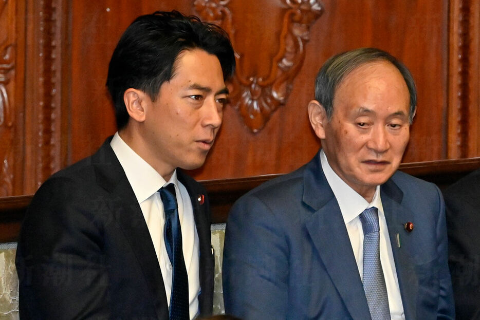 小泉選対委員長と菅副総裁