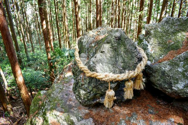 山の斜面の崖の上にあり、しめ縄がかけられているゴトゴト石。従来は人が押せば揺れていたが、今は隣の岩に接したまま動かない=2024年3月3日、高知市土佐山桑尾、蜷川大介撮影