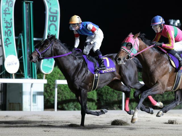 佐賀オータムスプリントを制したロードミッドナイト(提供：佐賀県競馬組合)