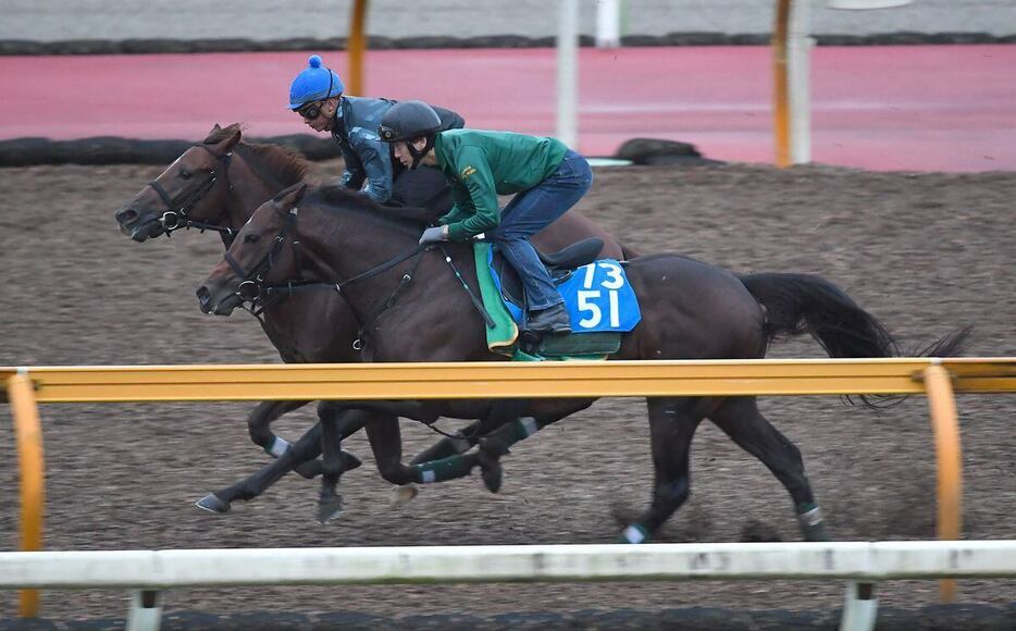 ダンテバローズ（手前）＝栗東トレセン（撮影・岩川晋也）