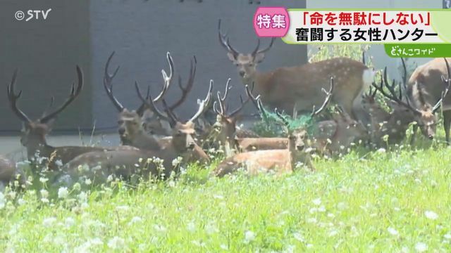 STVニュース北海道