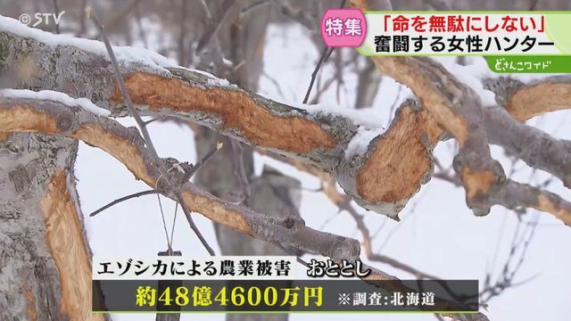 STVニュース北海道