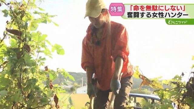 STVニュース北海道